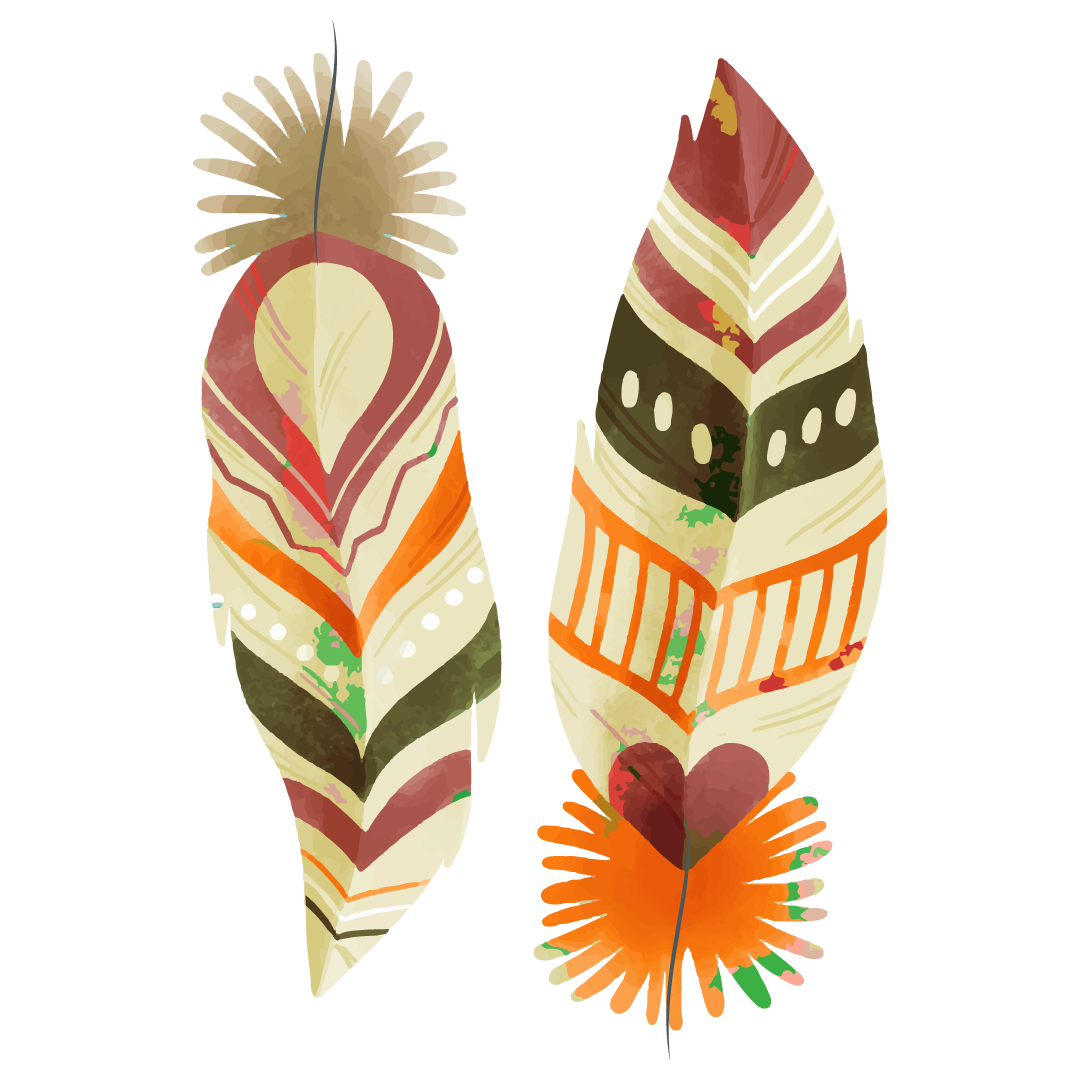 indigenous-feathers