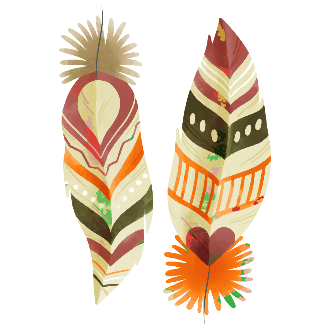 indigenous-feathers indigenous-feathers
